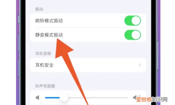 苹果手机应该怎么样静音，苹果手机怎么调静音模式