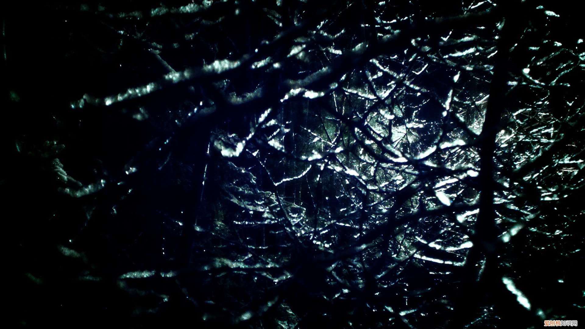 网络安全小黑板 网络安全黑板报