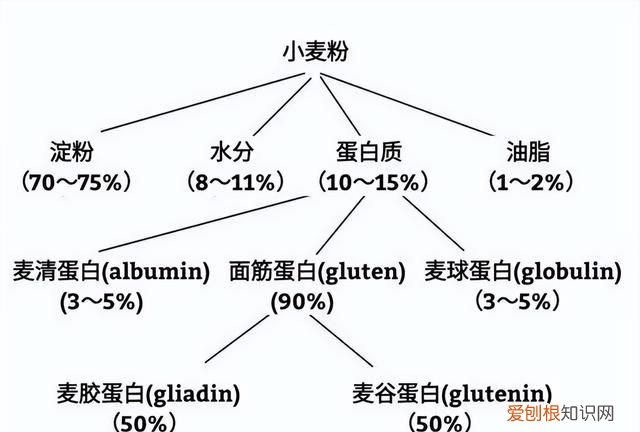 兰州拉面劲道好吃原来是放了蓬灰