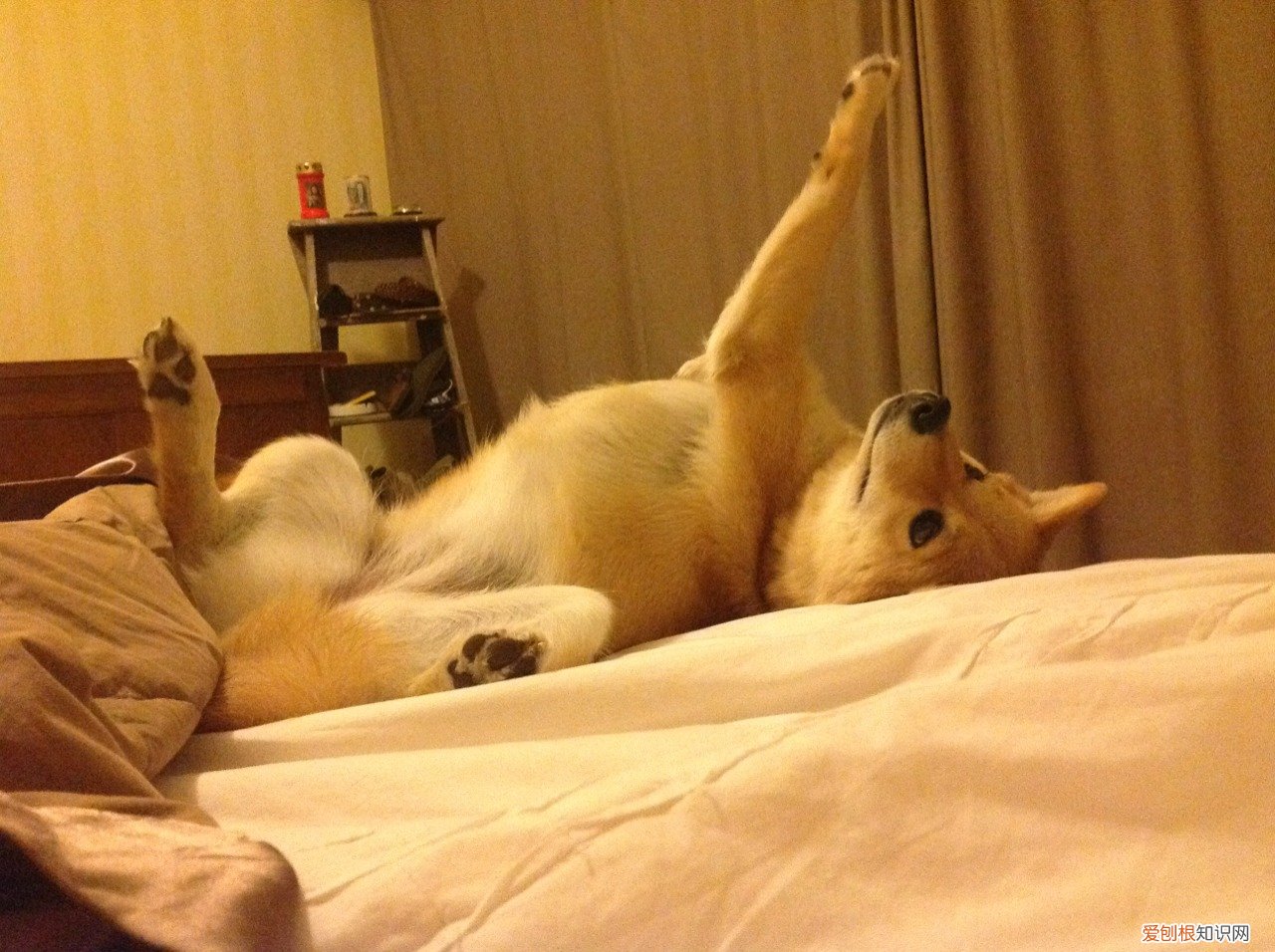 核酸检测多久出结果 核酸检测是什么