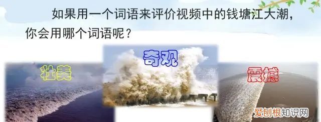 小学语文四年级上册第一课观潮的讲解