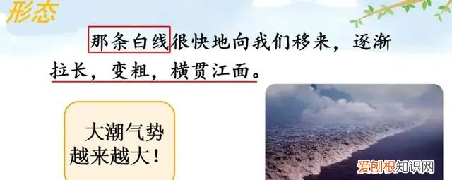 小学语文四年级上册第一课观潮的讲解