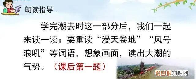 小学语文四年级上册第一课观潮的讲解