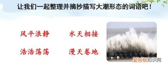 小学语文四年级上册第一课观潮的讲解