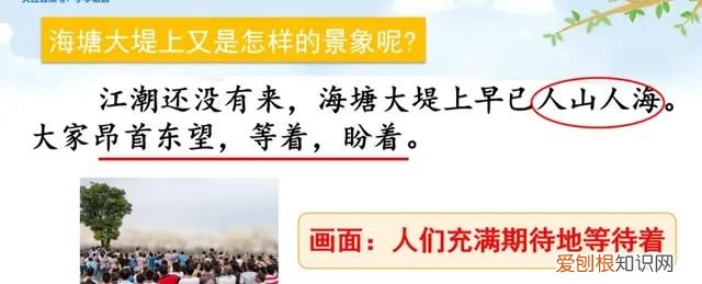 小学语文四年级上册第一课观潮的讲解