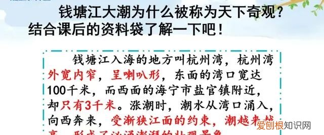 小学语文四年级上册第一课观潮的讲解