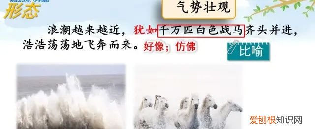 小学语文四年级上册第一课观潮的讲解