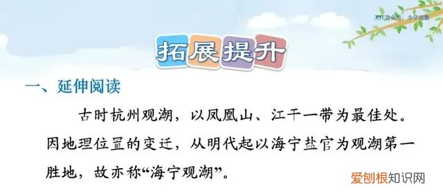 小学语文四年级上册第一课观潮的讲解