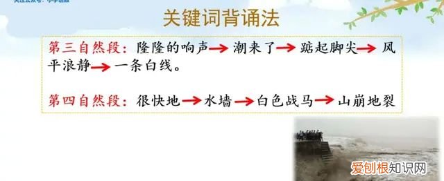 小学语文四年级上册第一课观潮的讲解