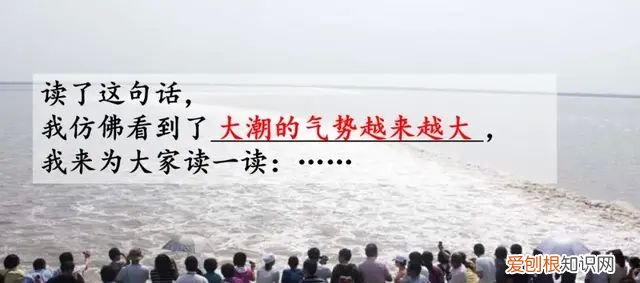 小学语文四年级上册第一课观潮的讲解