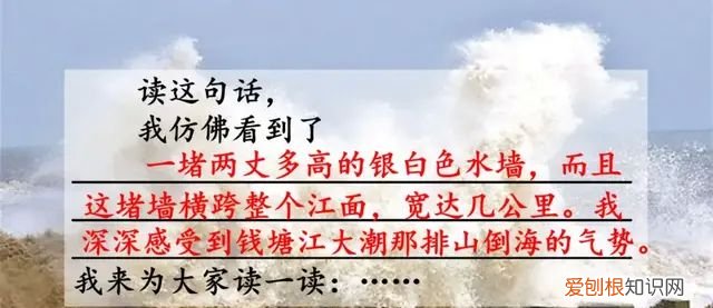 小学语文四年级上册第一课观潮的讲解