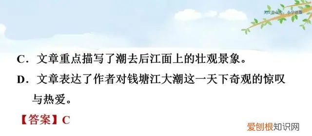 小学语文四年级上册第一课观潮的讲解