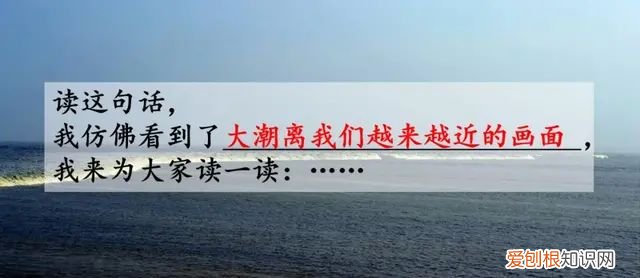 小学语文四年级上册第一课观潮的讲解