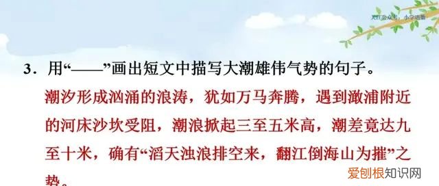 小学语文四年级上册第一课观潮的讲解