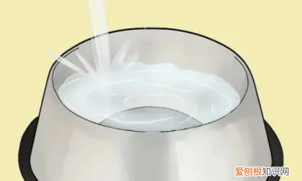 兔子怎么搭窝的过程，兔子自己是怎么搭窝的