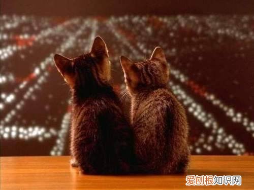 千万别学口腔医学 就业前景怎么样 口腔医学就业前景