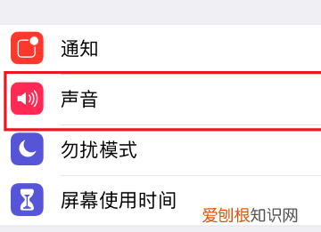 苹果手机该咋样静音，苹果手机怎么调静音模式