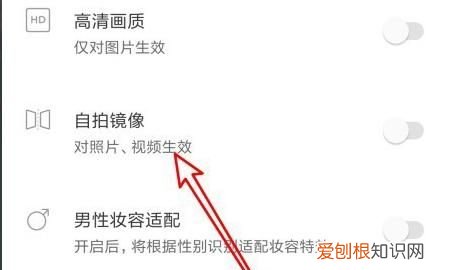 该如何才能安装一甜相机，为什么苹果手机上面一排不显示了