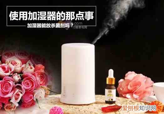 加湿器加凉白开水可以吗 加湿器用什么水