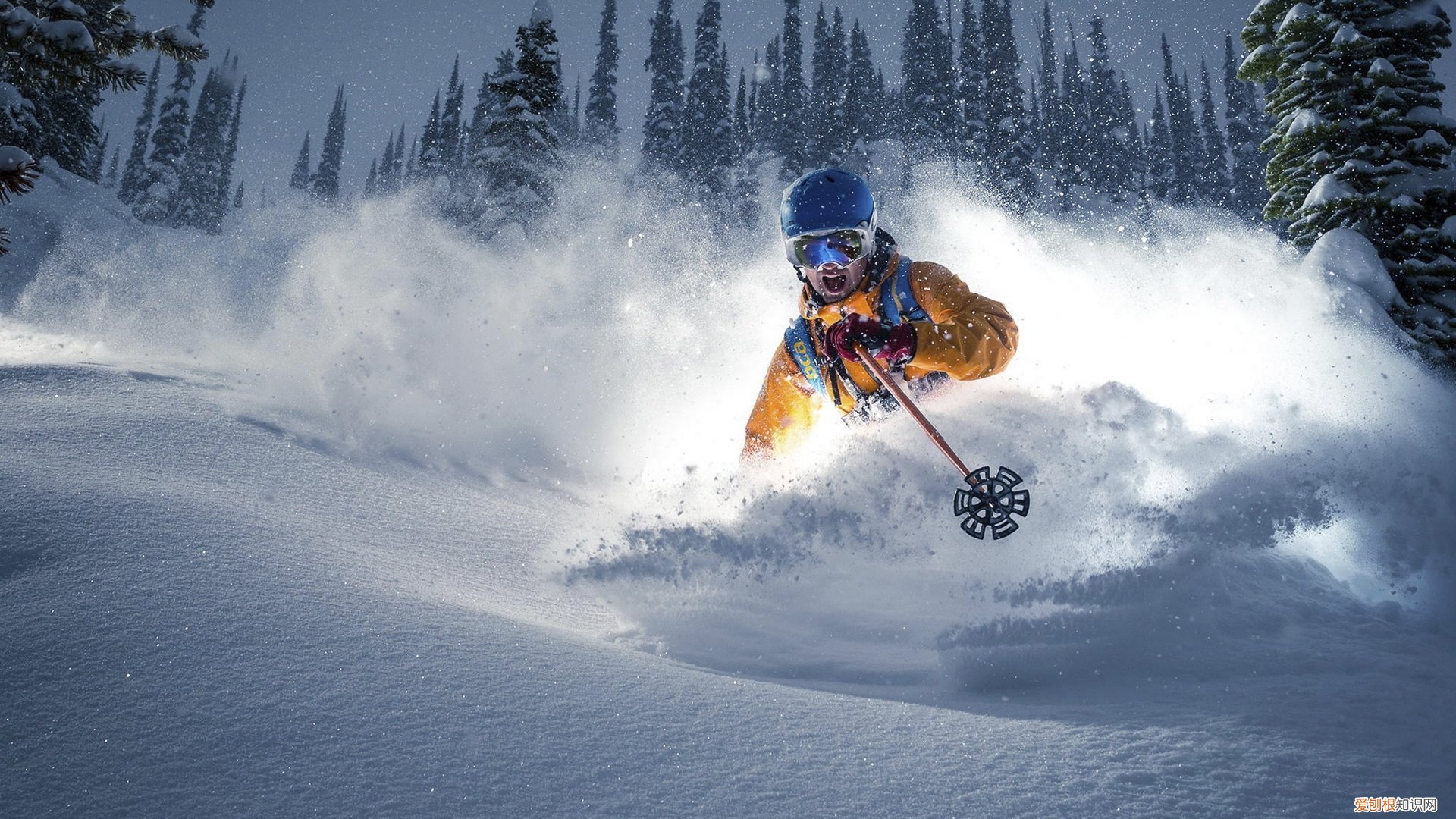 商标续展提前多长时间办理 商标申请多久