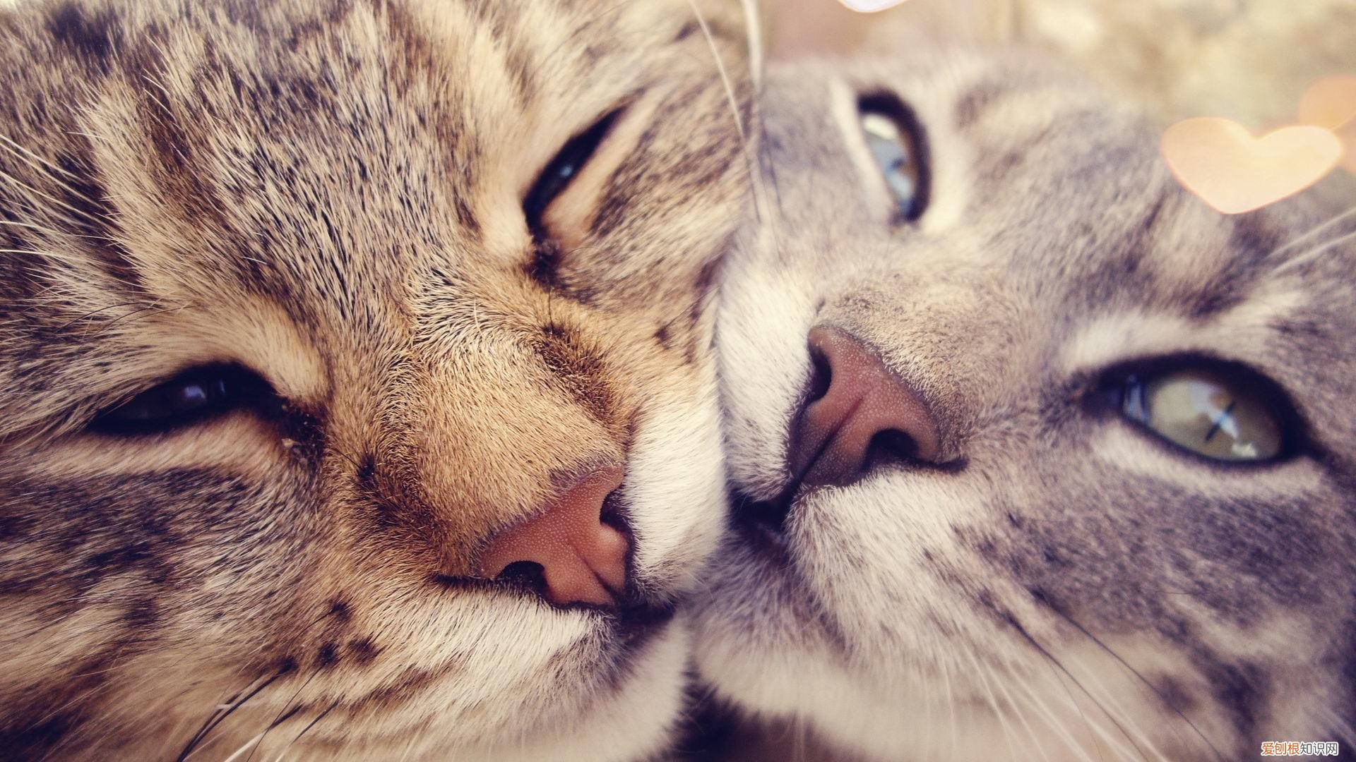 企业管理系统大扫盲 企业应用软件