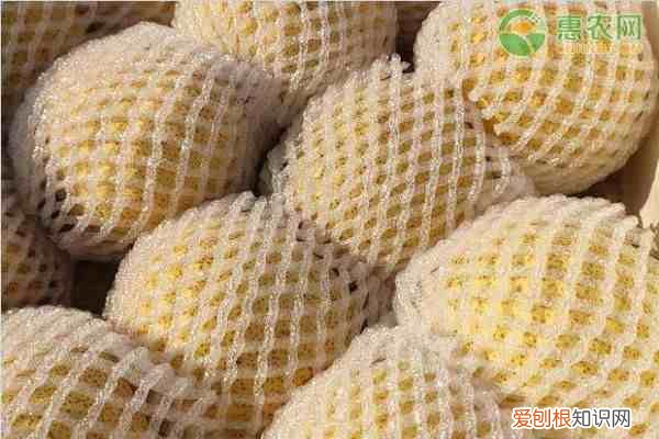 秋天吃水果有哪些禁忌 秋天成熟的水果有哪些