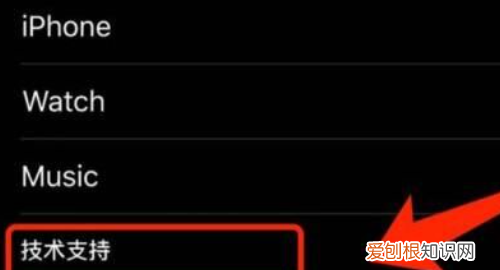 苹果手机怎么查看激活日期,如何才能看苹果手机激活时间