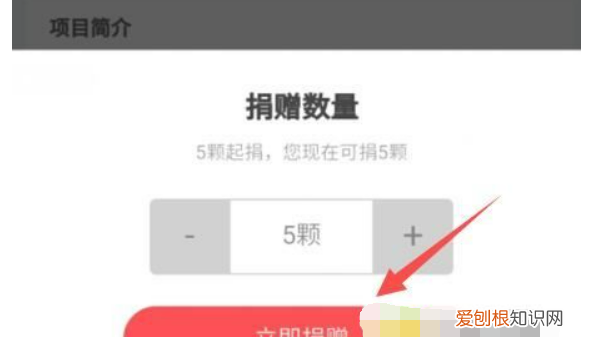 蚂蚁庄园如何才可以捐赠爱心，蚂蚁庄园真的可以帮助到别人么