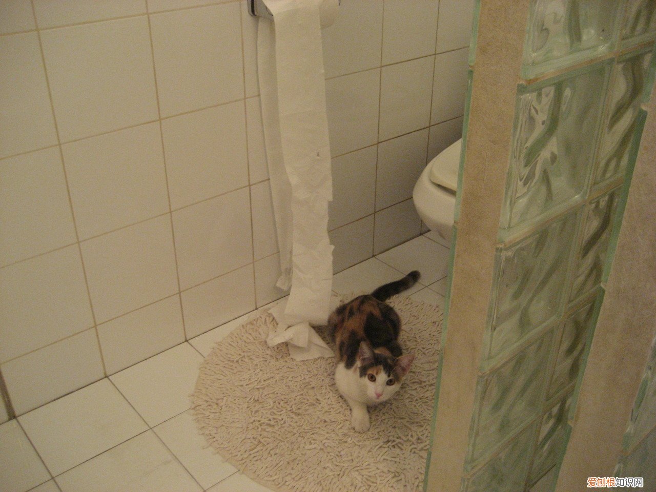 石英石的危害有哪些 石英石的危害