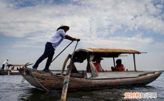 渔夫是什么意思网络