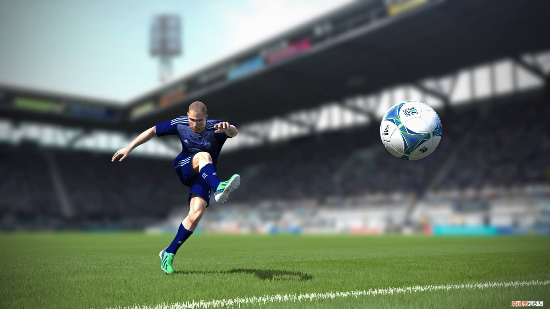 火烧圆明园主要内容简介 火烧圆明园资料