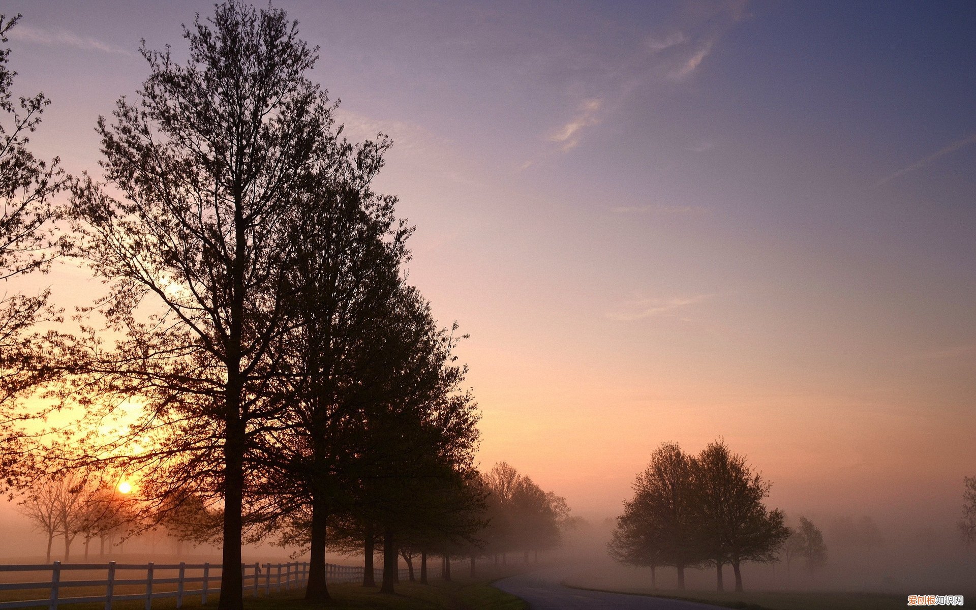 注册一个商标要多长时间 商标需要多久