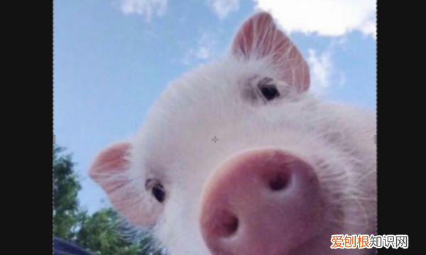 ps怎么改分辨率，ps应该怎么样调分辨率