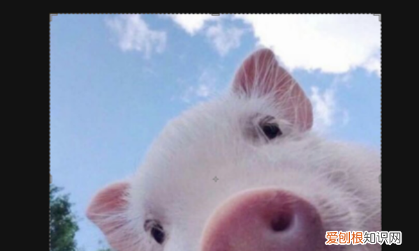 ps怎么改分辨率，ps应该怎么样调分辨率