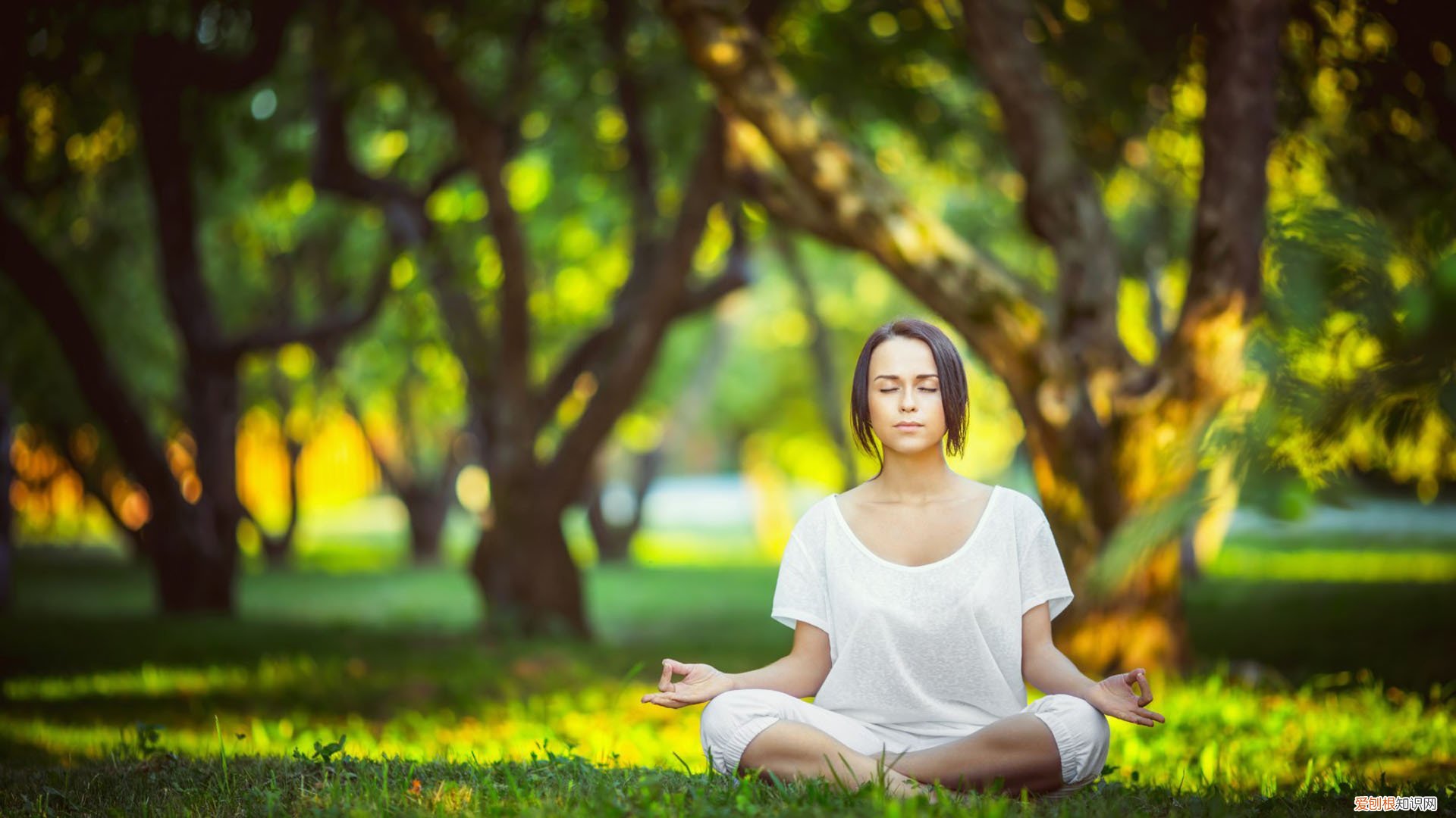 空开，各种字母型号 空开规格