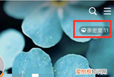 qq怎么看共同好友有哪些，qq如何看共同好友具体有哪些