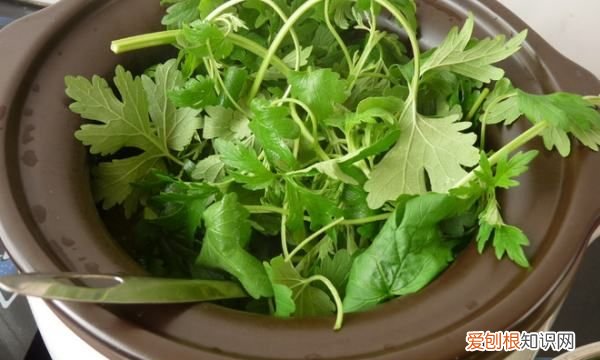 益母草鸽子汤的做法有哪些，新鲜益母草怎么煮 新鲜益母草的煮法