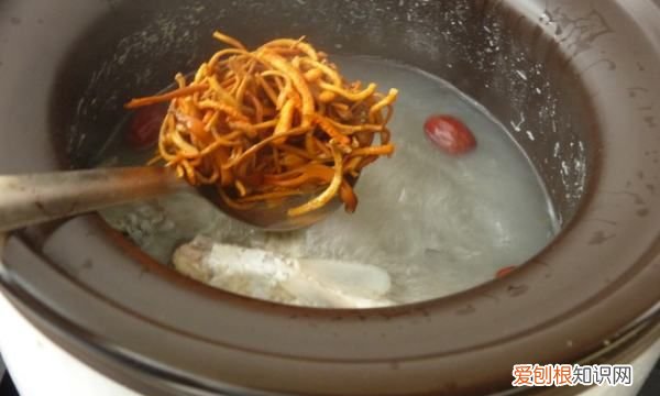 益母草鸽子汤的做法有哪些，新鲜益母草怎么煮 新鲜益母草的煮法