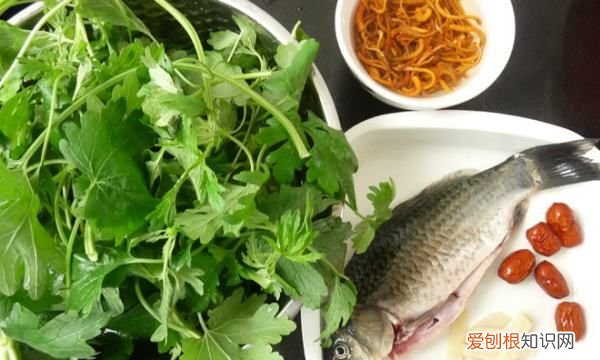 益母草鸽子汤的做法有哪些，新鲜益母草怎么煮 新鲜益母草的煮法