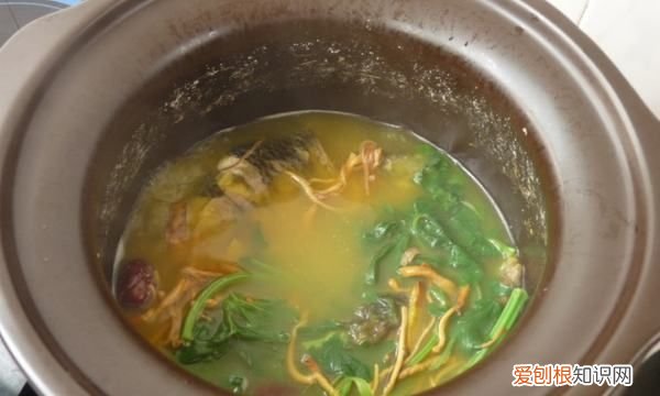 益母草鸽子汤的做法有哪些，新鲜益母草怎么煮 新鲜益母草的煮法