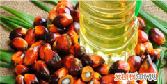棕榈油的国际代码，棕榈油的营养价值 棕榈油的简介