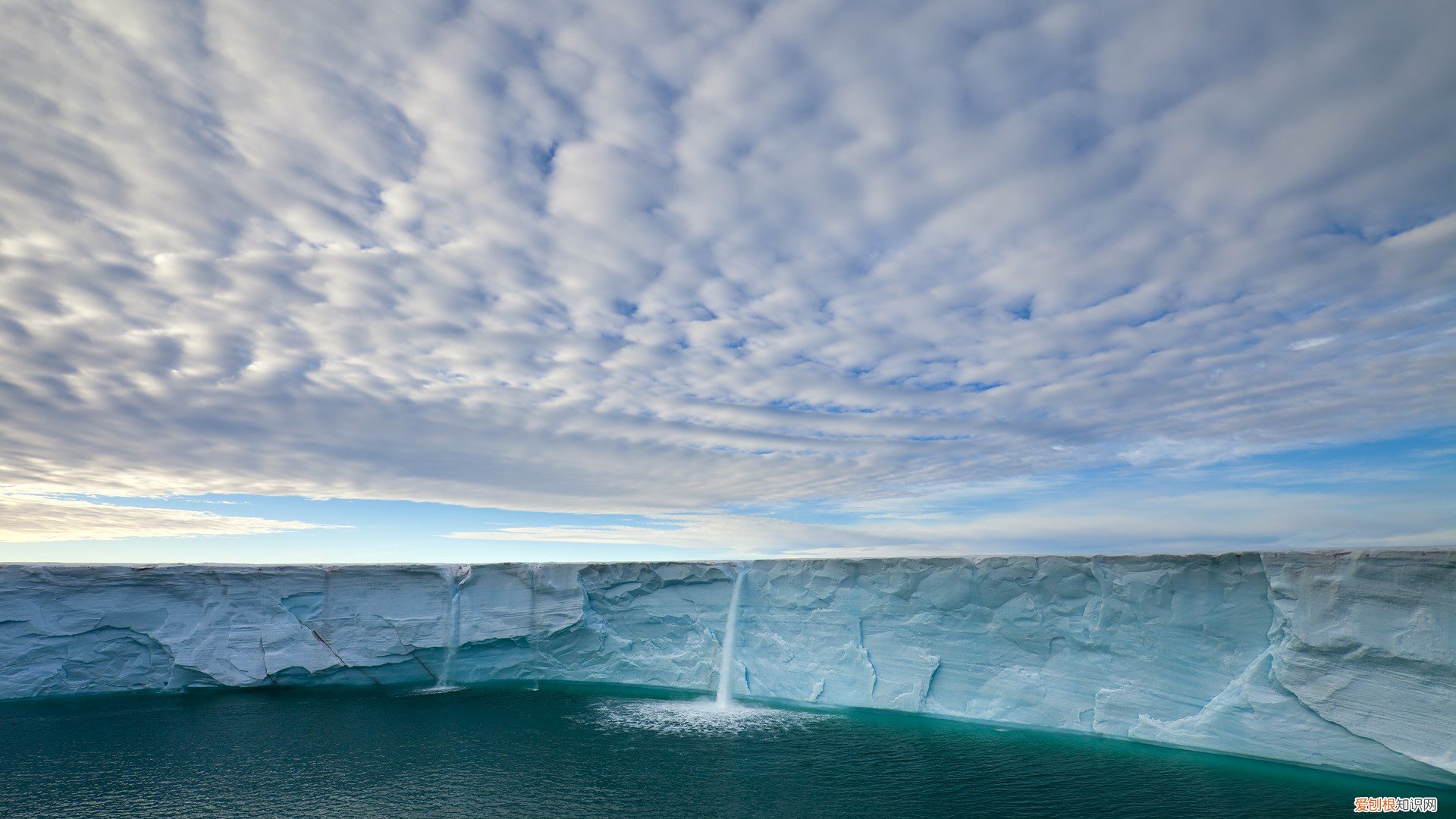 电饭煲煮粥放多少水 电饭煲煮粥多久