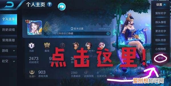 王者荣耀充值记录怎么查询，王者荣耀如何才可以查充值记录