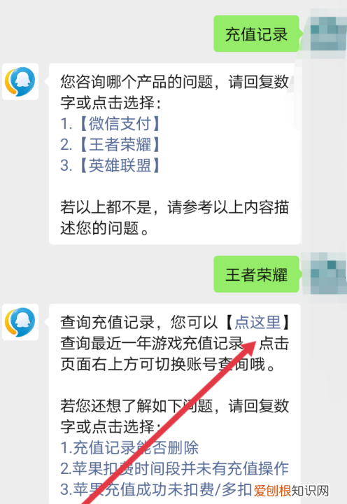 王者荣耀充值记录怎么查询,王者荣耀如何才可以查充值记录