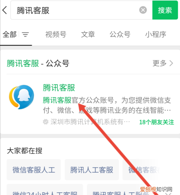 王者荣耀充值记录怎么查询,王者荣耀如何才可以查充值记录
