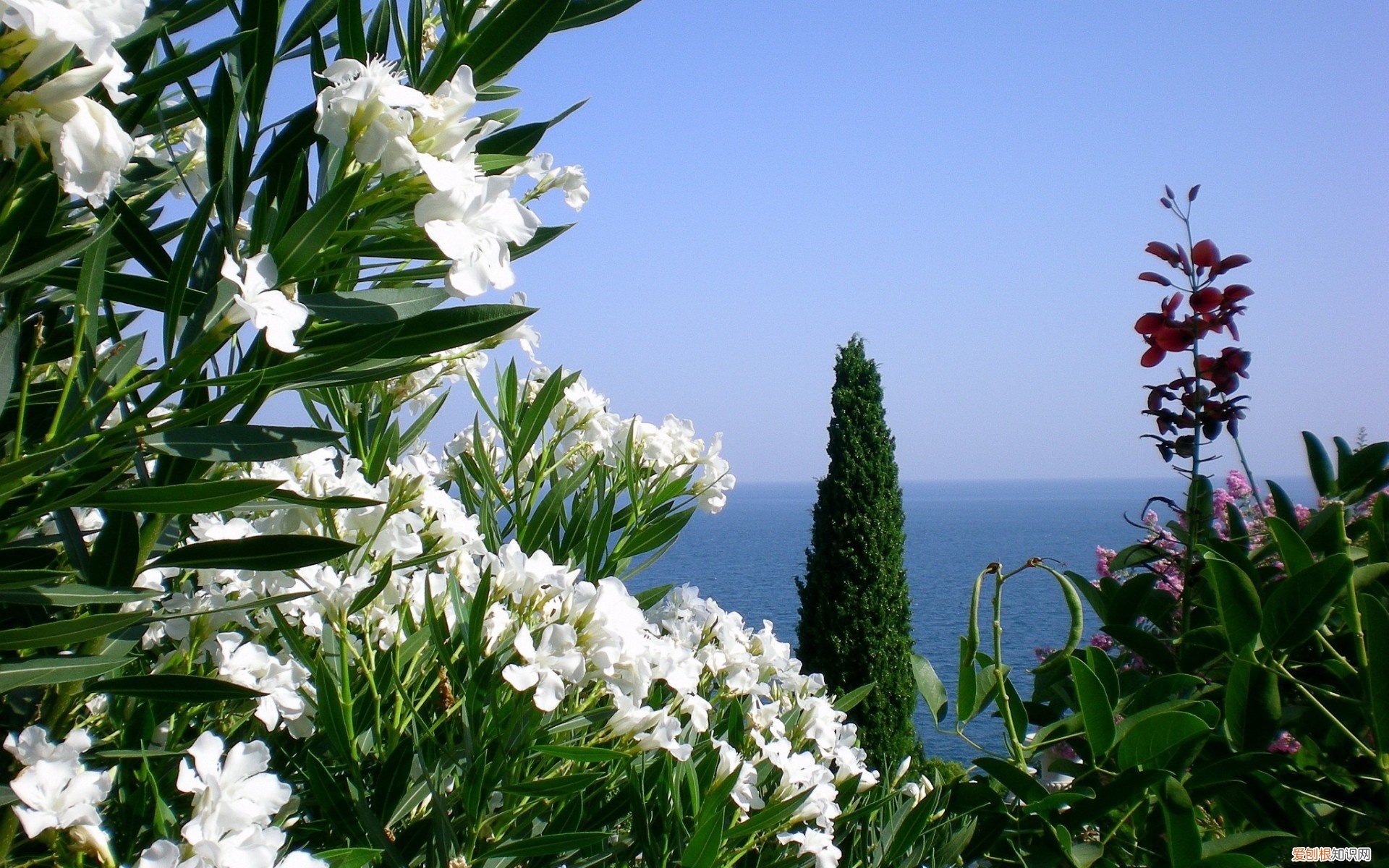 科目三下午场考试时间 科目一考多久时间