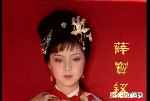 红楼梦共有多少人物