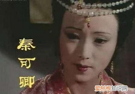 红楼梦共有多少人物