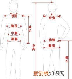 衣服尺码表s大还是m大,买上衣服的腰围和尺码怎么对应