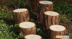 一方木材怎么算，一方是怎么计算的